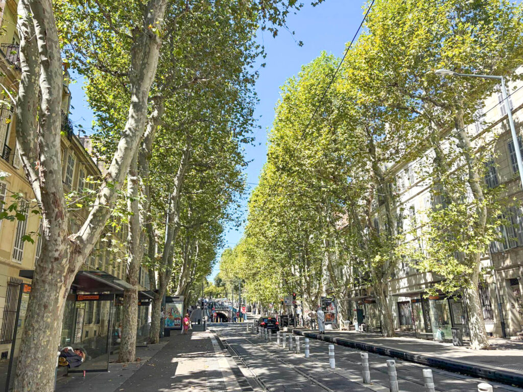 Quartier Le Camas Marseille – rues animées et vie de quartier du 5e arrondissement